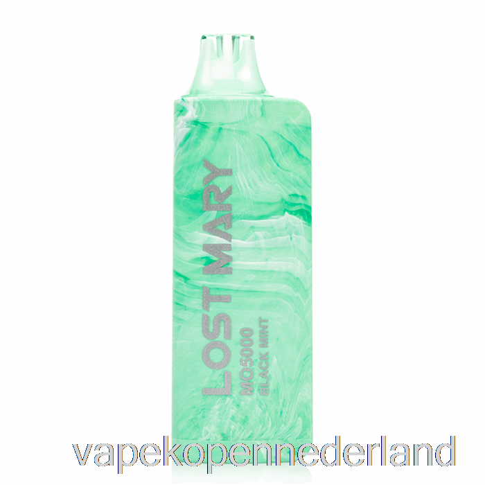 Elektronische Sigaret Vape Verloren Mary Mo5000 Wegwerp Zwarte Munt